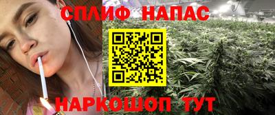 стаф Лесосибирск