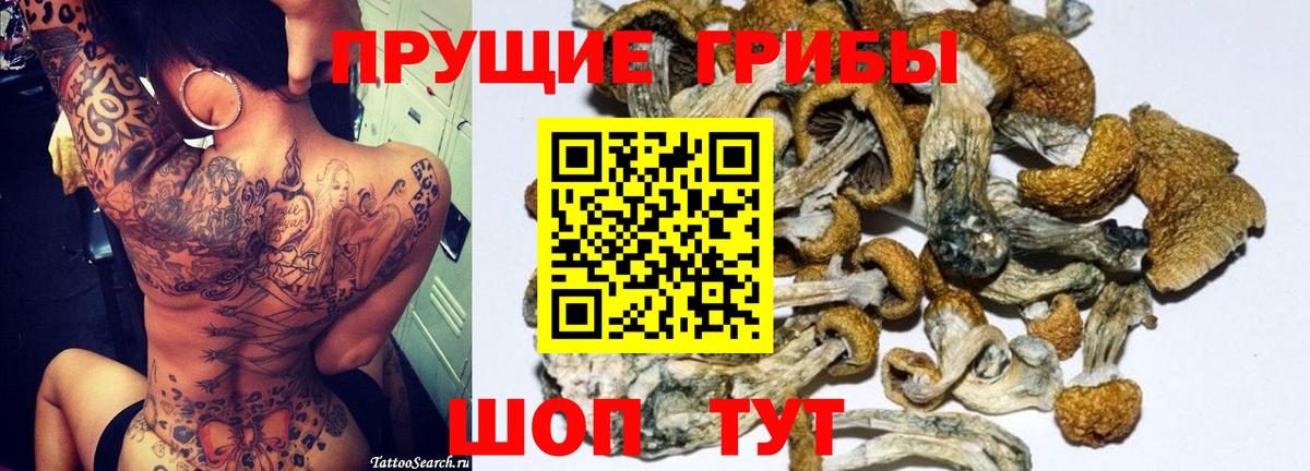 Ростов Великий  Галлюциногенные грибы Psilocybine cubensis  Вход с VPN 